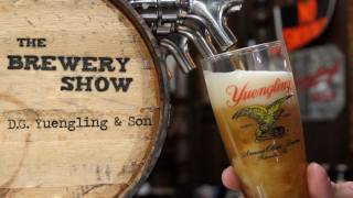 Yuengling Brewery  Brewery Show [upl. by Sirap]