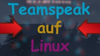 Teamspeak auf LINUX INSTALLIEREN GANZ EINFACH  German  Deutsch  HD [upl. by Fidele]