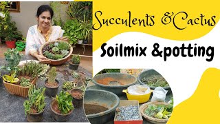 Succulents ampCactus soilmix and pottingsucculents కు అవసరమైన సాయిల్ మిక్స్ తయారీ madgardener [upl. by Horn]