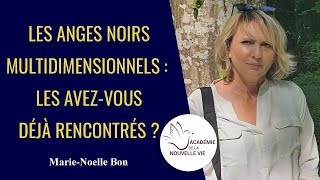 Les Anges Noirs Multidimensionnels  Les Avezvous Déjà Rencontrés MarieNoelle Bon [upl. by Worlock]