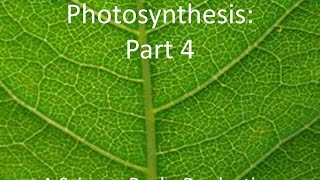 Photosynthesis 4  Leaf Structure [upl. by Enilrek930]