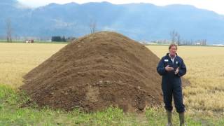 Chicken Manure Application and Sources [upl. by Stanfield]