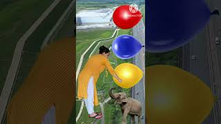 Balloons to Animals Namesmagic video shorts [upl. by Chavaree246]