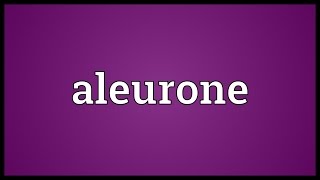 Aleurone Meaning [upl. by Anitrebla]