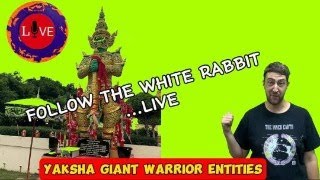 Yaksha Guardian Warrior Entities Live [upl. by Htidra]