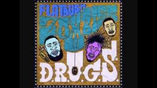 Flatbush Zombies  Intro DRUGS [upl. by Tait502]