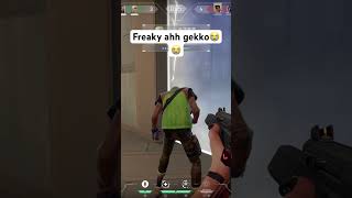 Bros geeked valorant geek funny gekko [upl. by Ahsikym]