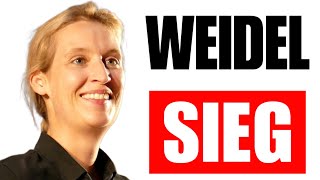 Eilnachricht…Weidel AfD Hammer Wahl [upl. by Dido]