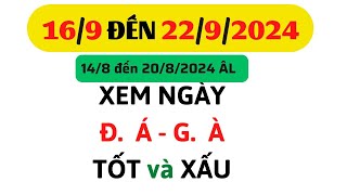 Xem Ngày DA Gà 1692024 đến 2292024 Màu Mệnh VLOG [upl. by Yttel]