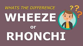 Wheeze or Rhonchi What is the difference Super simple explanation [upl. by Mozza810]