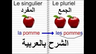 التحويل من المفرد إلى الجمع في اللغة الفرنسية الشرح بالعربية Singulier et Pluriel [upl. by Tronna742]