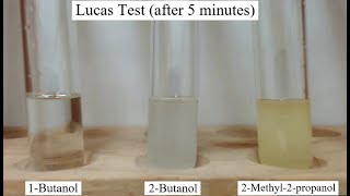 Lucas Test for Alcohols [upl. by Tiemroth]