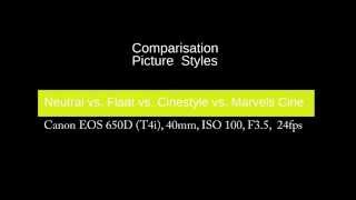 Canon Picture Style  Neutral vs Flaat vs Cinestyle vs Marvels Cine [upl. by Laureen680]