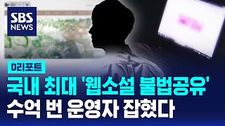 국내 최대 웹소설 불법공유 사이트 운영자 검거  SBS  D리포트 [upl. by Mira646]