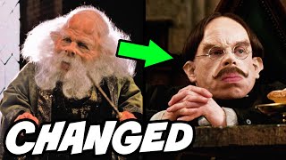 Why Professor Flitwick Looked SO Different  Harry Potter Explained [upl. by Janina650]