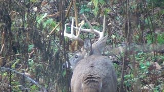 Archery Season Extra Footage 2012 [upl. by Anitselec497]