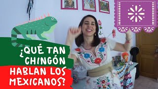 🦎EXPRESIONES Y ACENTOS MEXICANOS🦎 [upl. by Cristal]