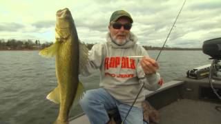 Rapala® Scatter Rap® Minnow [upl. by Grenier]