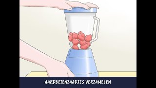 Aardbeienzaadjes verzamelen [upl. by Adleremse]