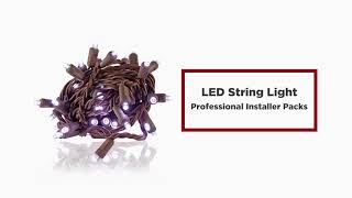 LED String Light Professional Installer Packs  1000Bulbs [upl. by Tremml72]