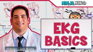 Cardiovascular  EKG Basics [upl. by Weisbart]