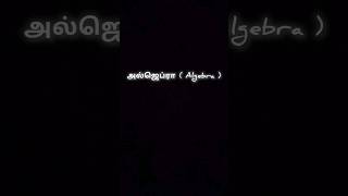 thediye thediye  vibe tamil song lyrics  tamilsonglyrics tamilsonglyricalstatus tamilstatus [upl. by Elleb]