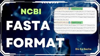 NCBI fasta format  genbank format  protein and nucleotide sequence in fasta format through NCBI [upl. by Manheim591]