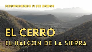 El Halcon De La Sierra  El Cerro [upl. by Peggir]