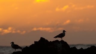 Travesias Fotograficas de La Quebrada al Pacifico Paso de Jama Ruta 52 [upl. by Nylrehs801]