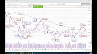 How to use daily market indicators on MarketSmith [upl. by Oihsoy]