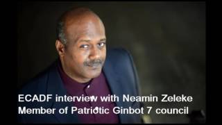 Neamin Zeleke’s ECADF interview On TPLF aggression against Eritrea [upl. by Enoed]