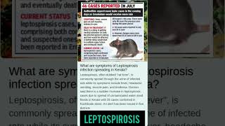 Leptospirosis  Rat Feaver  Spread In Kerala  Leptospirosis Symptoms amp Treatments  currentaffair [upl. by Cavanaugh]