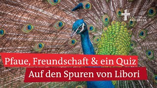 Paderborn feiert Libori Geschichten vom Liborifest und der Freundschaft hier bei LiboriTV [upl. by Eras2]