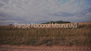 Residencias Artísticas en el Parque Nacional Mburucuyá [upl. by Nibla]