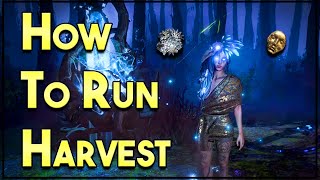 Make Consistent Currency with Harvest [upl. by Jacky]