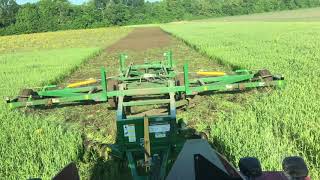 Wheat cover crop incorporation with a Kelly [upl. by Chelsea]