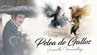 Pelea de Gallos Vicente Fernandez [upl. by Aila]