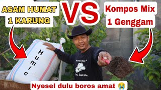 Kompos se Ember untuk 100 Tanaman sampai panen [upl. by Nyberg]