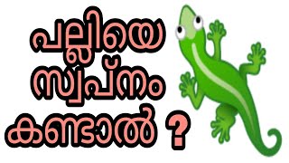 palliye swapnam kandal swapna vyakyanam malayalam islam islamic speech palli pampine sihr koodothram [upl. by Ariew]