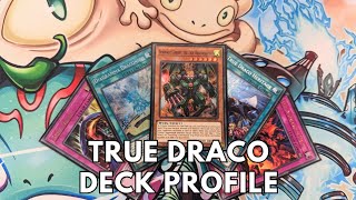 Competitive True Draco deck profile January 2024 TCG Yugioh [upl. by Stavro]