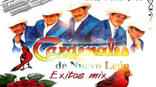 cardenales de nuevo leon mix exitos [upl. by Nooj]