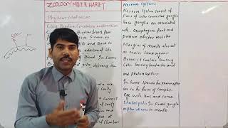 excretion and nervous system in class Bivalvia Zoology Miller Harley ADS BSC BS Urdu [upl. by Jacobsohn]