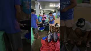 Normal na buhay na samin ang ganito trending shorts youtubeshorts shortvideo yellowfintuna [upl. by Norvol]