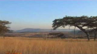 Rorkes Drift Lodge Accommodation and Horse Trails Battlefields South Africa  Africa Travel Channel [upl. by Vonni409]