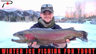 Winter Ice Fishing For Trout [upl. by Nonnek]