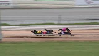 Northam19082024Race1 [upl. by Eiboj]