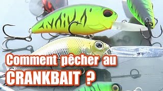 Comment pêcher au CRANKBAIT  brochet perche sandre [upl. by Narah]