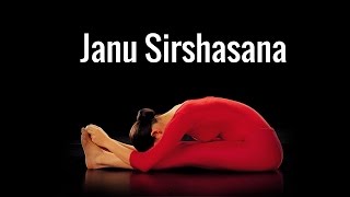 Janu Sirshasana Head to Knee Pose [upl. by Alekram405]