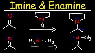 Imine and Enamine Formation Reactions With Reductive Amination [upl. by Atilehs373]