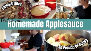 Perfect Homemade Applesauce No Peeling or Coring Plus Delicious Oatmeal Bites [upl. by Ytisahcal]